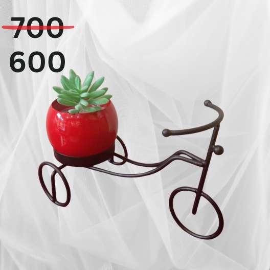 Metal Cycle Stand Flower Pot Free Succulent